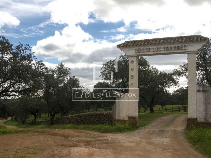Precio de la propiedad valencia y provincia