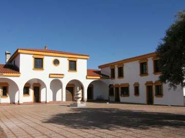 View property details