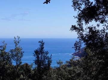 View property details