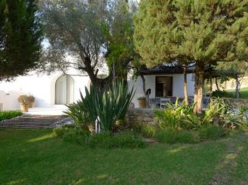 View property details