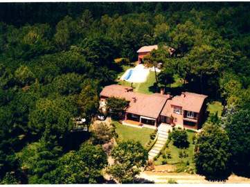 View property details