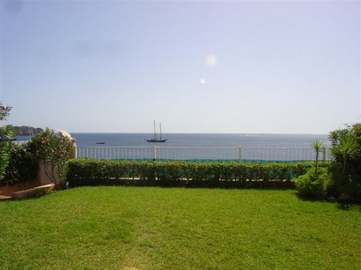 View property details