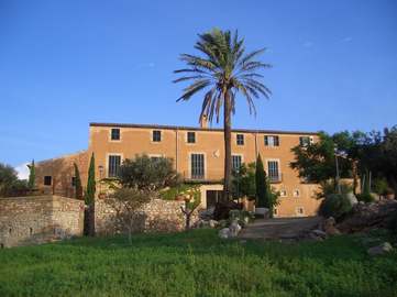 View property details