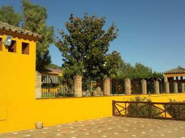 View property details