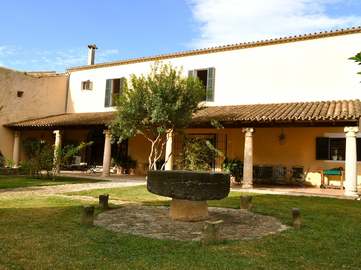 View property details