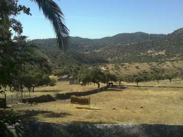 View property details