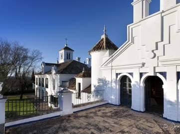 View property details