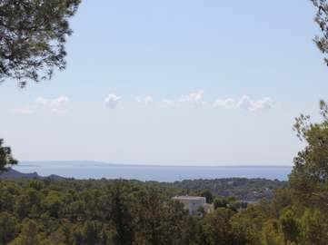 View property details