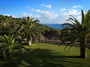 View property details
