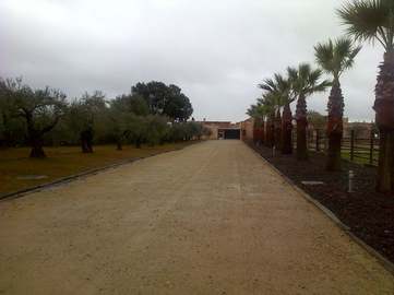 View property details