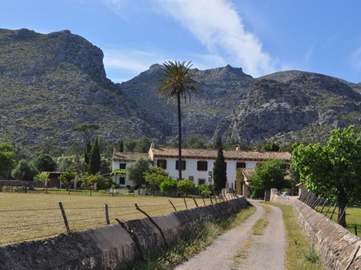 View property details