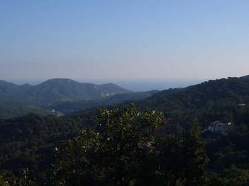 View property details
