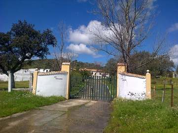 View property details
