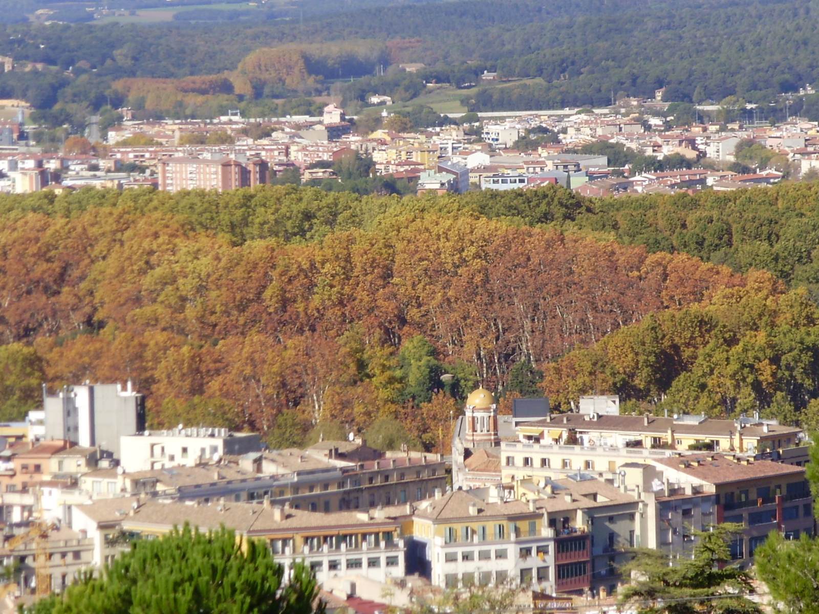 Devesa