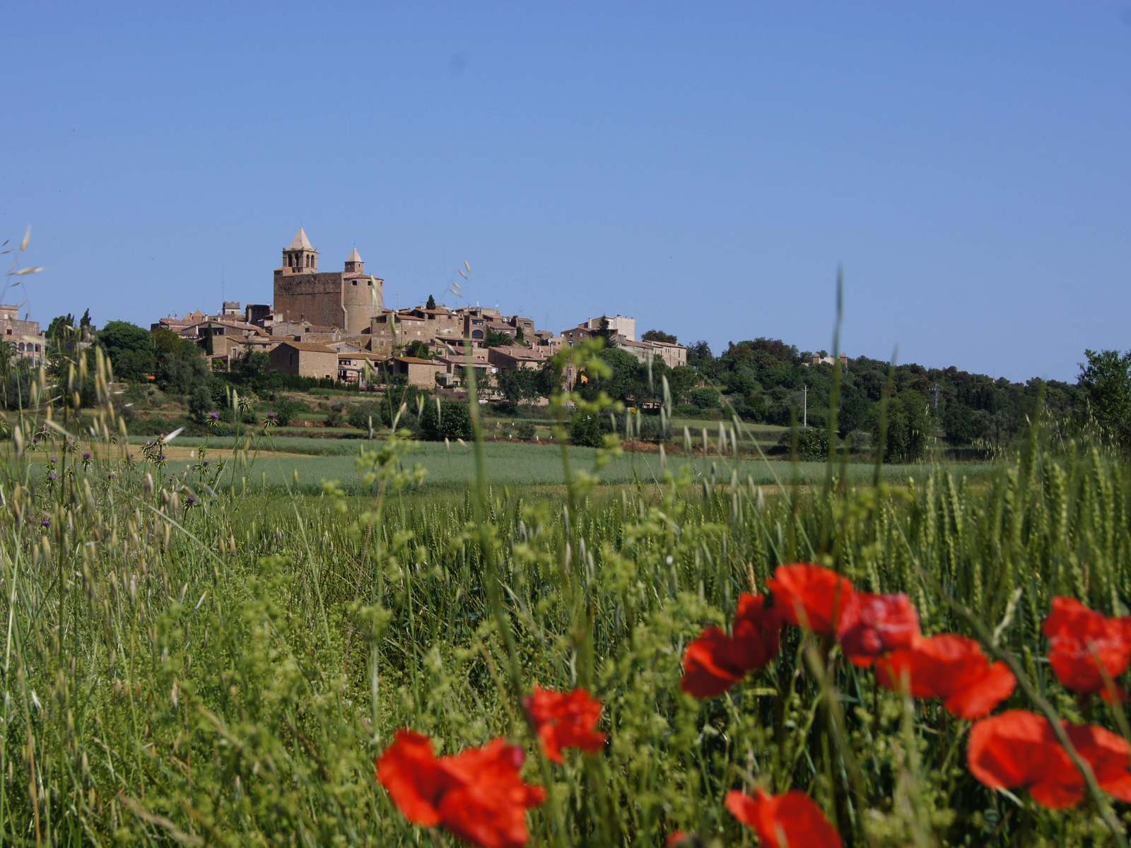 Baix Emporda