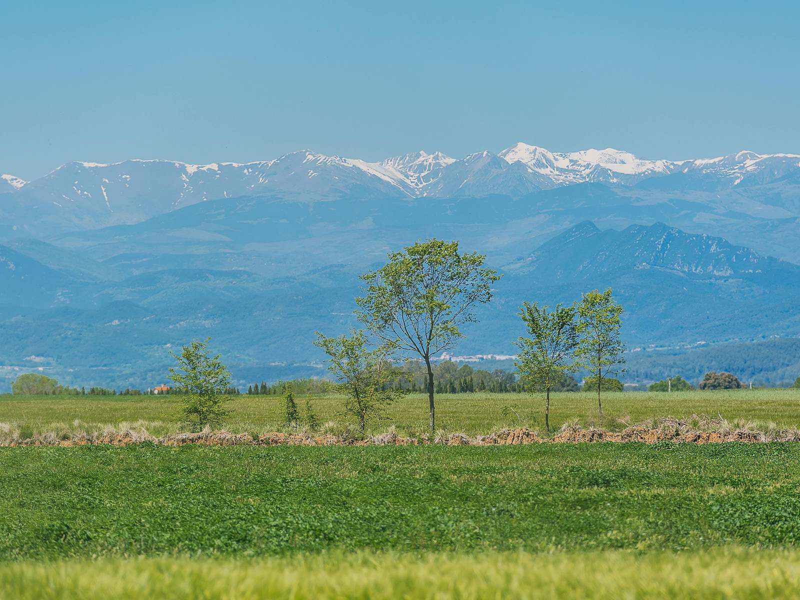 Alt Empordà