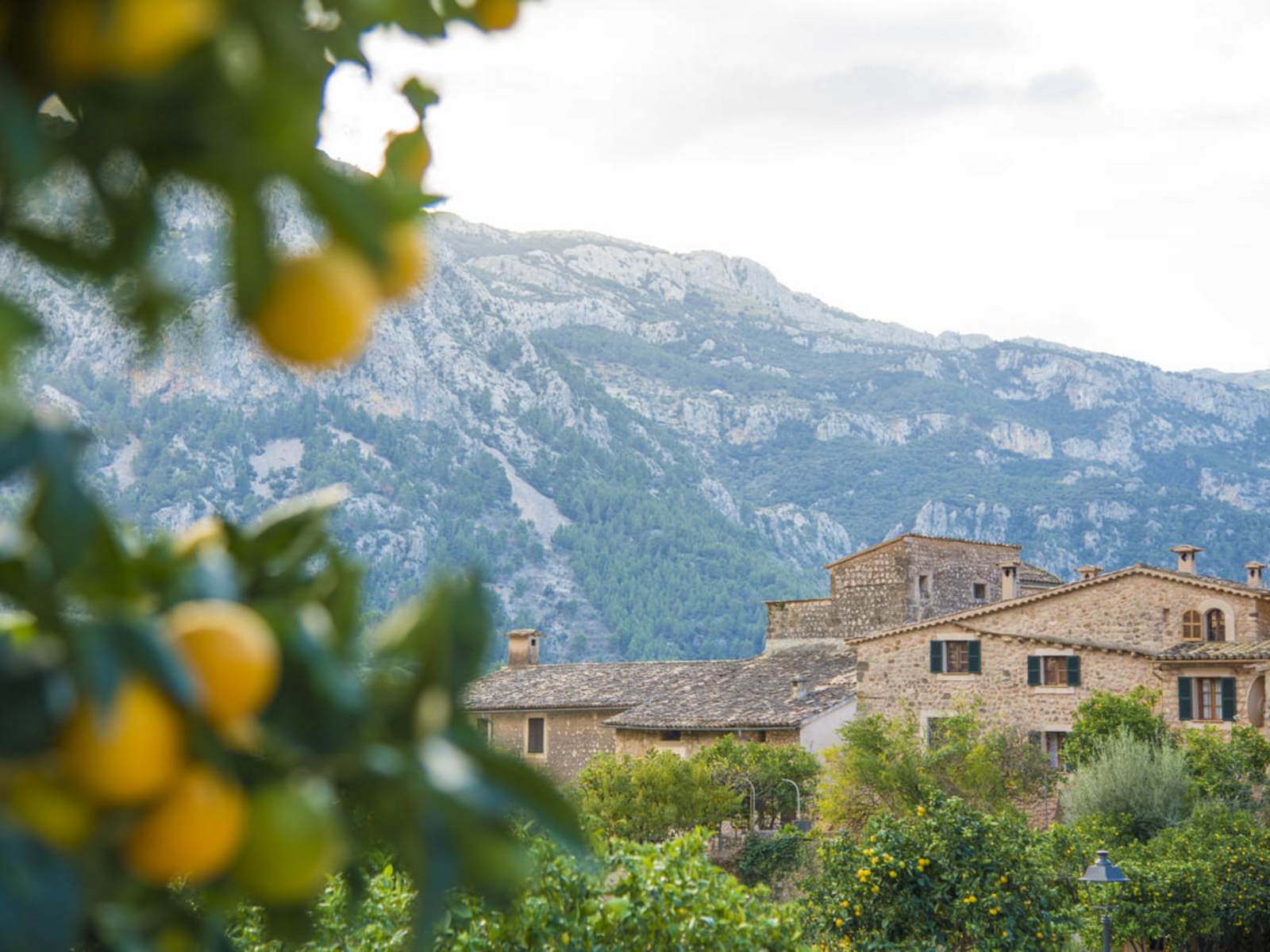 Mallorca Region