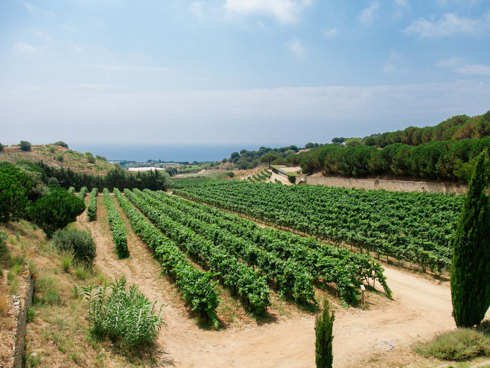 Maresme Coast