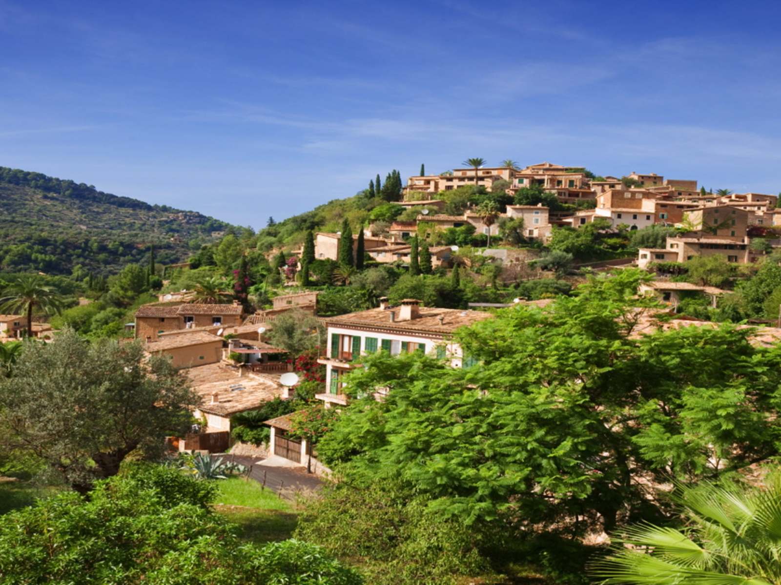 Centro de Mallorca