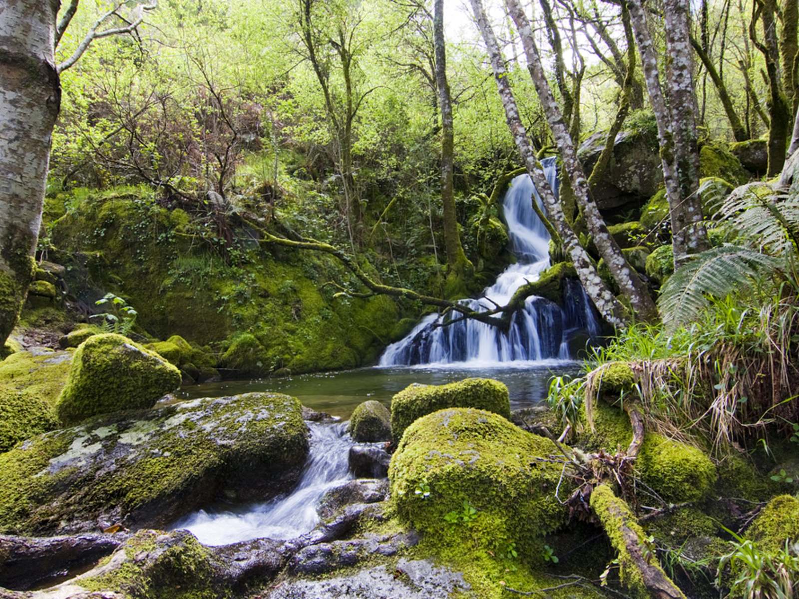 Ourense