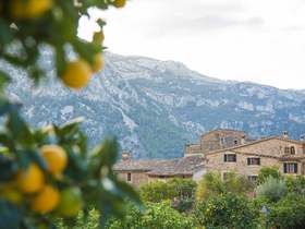 Mallorca Region