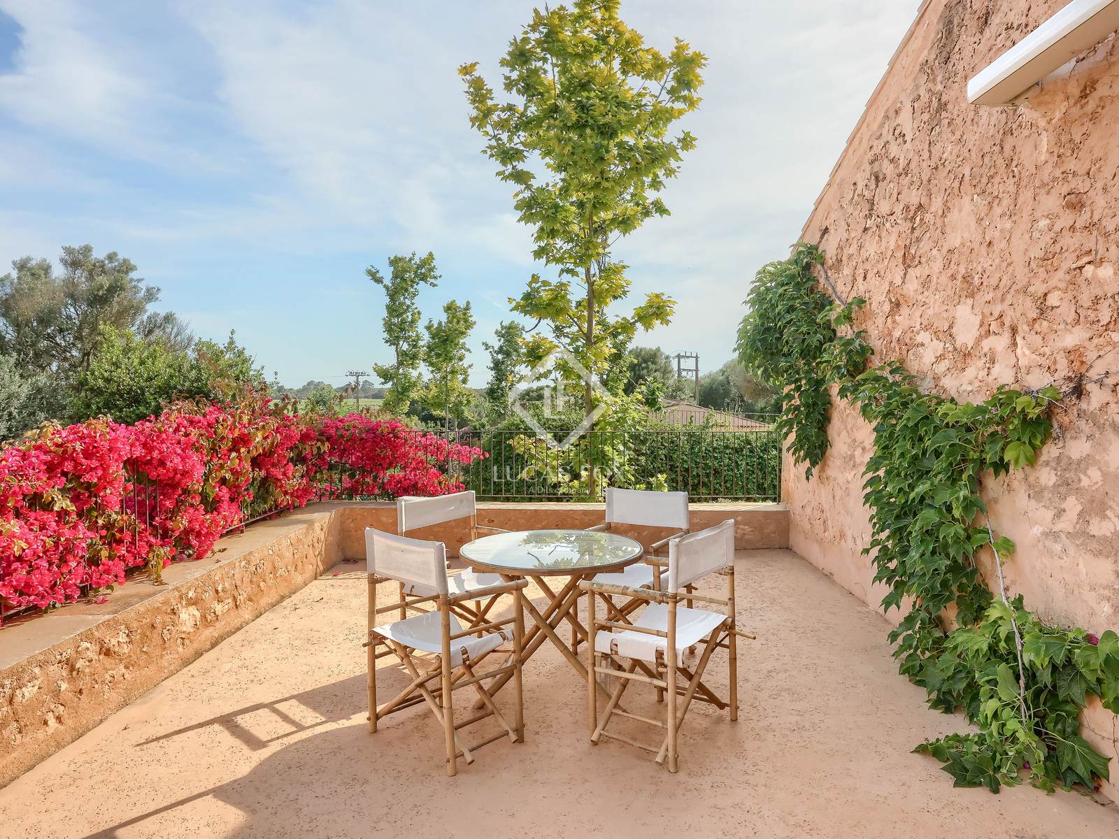 14 Bedrooms Country house in Cami de cabo blanco