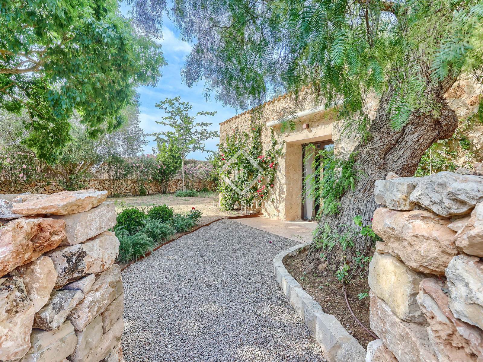 14 Bedrooms Country house in Cami de cabo blanco