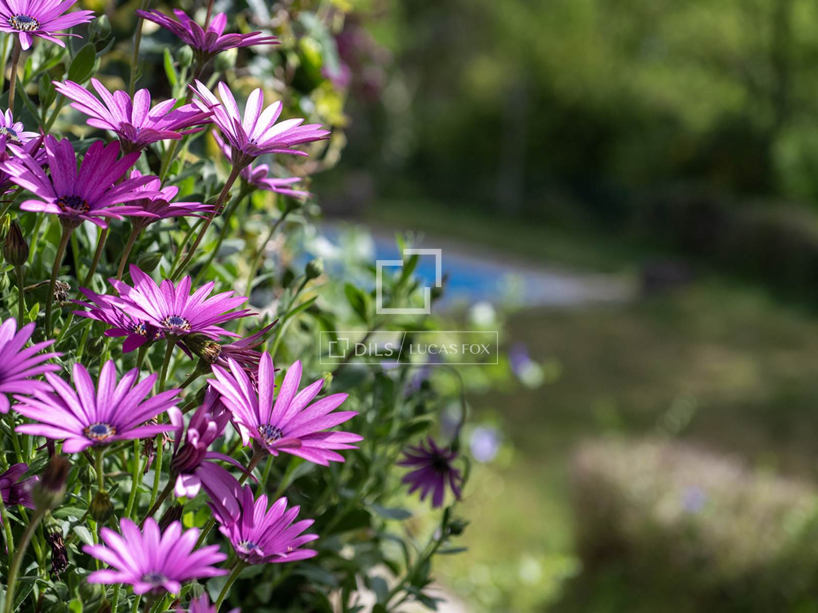 House / Villa for sale