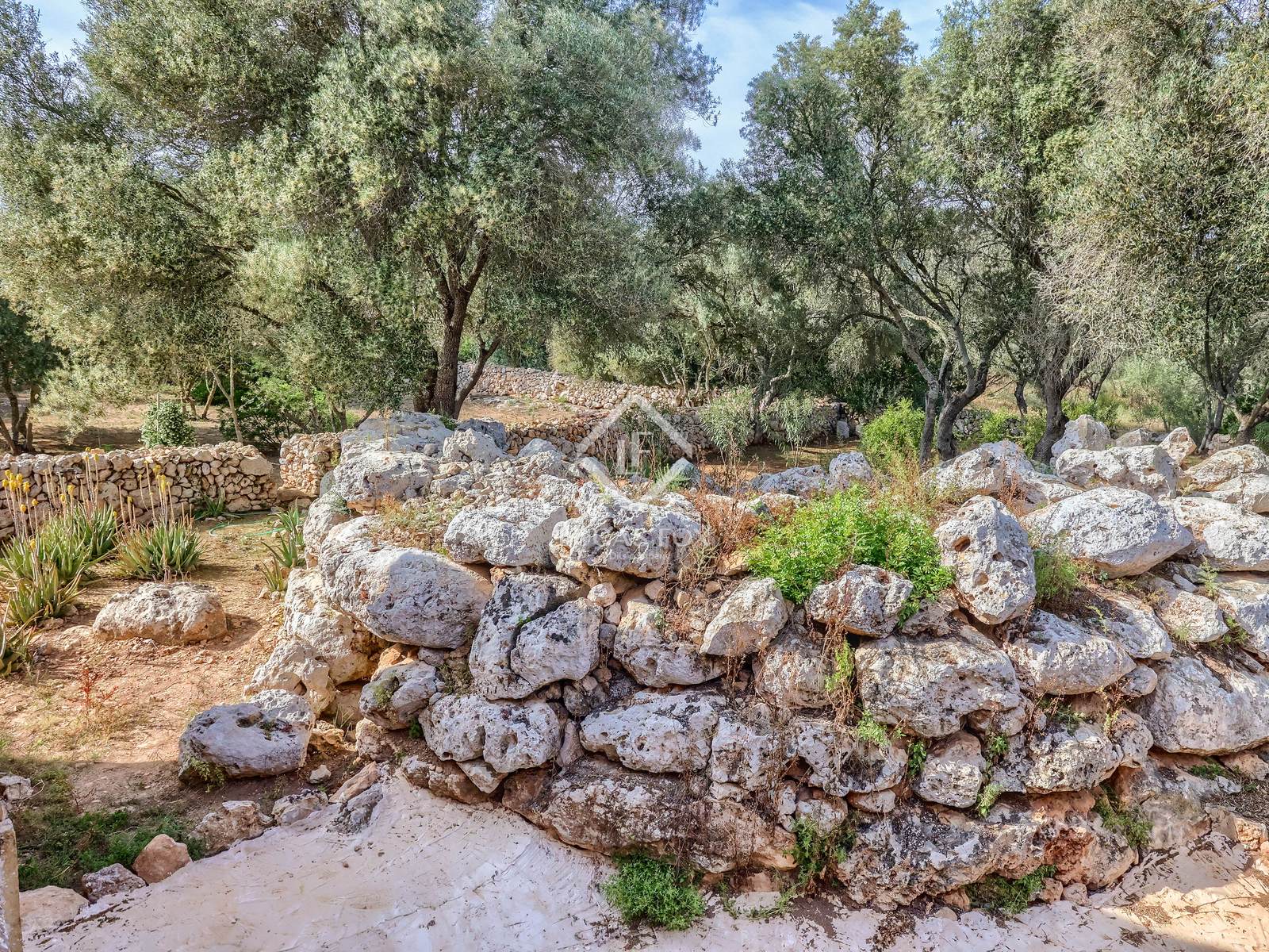 14 Bedrooms Country house in Cami de cabo blanco