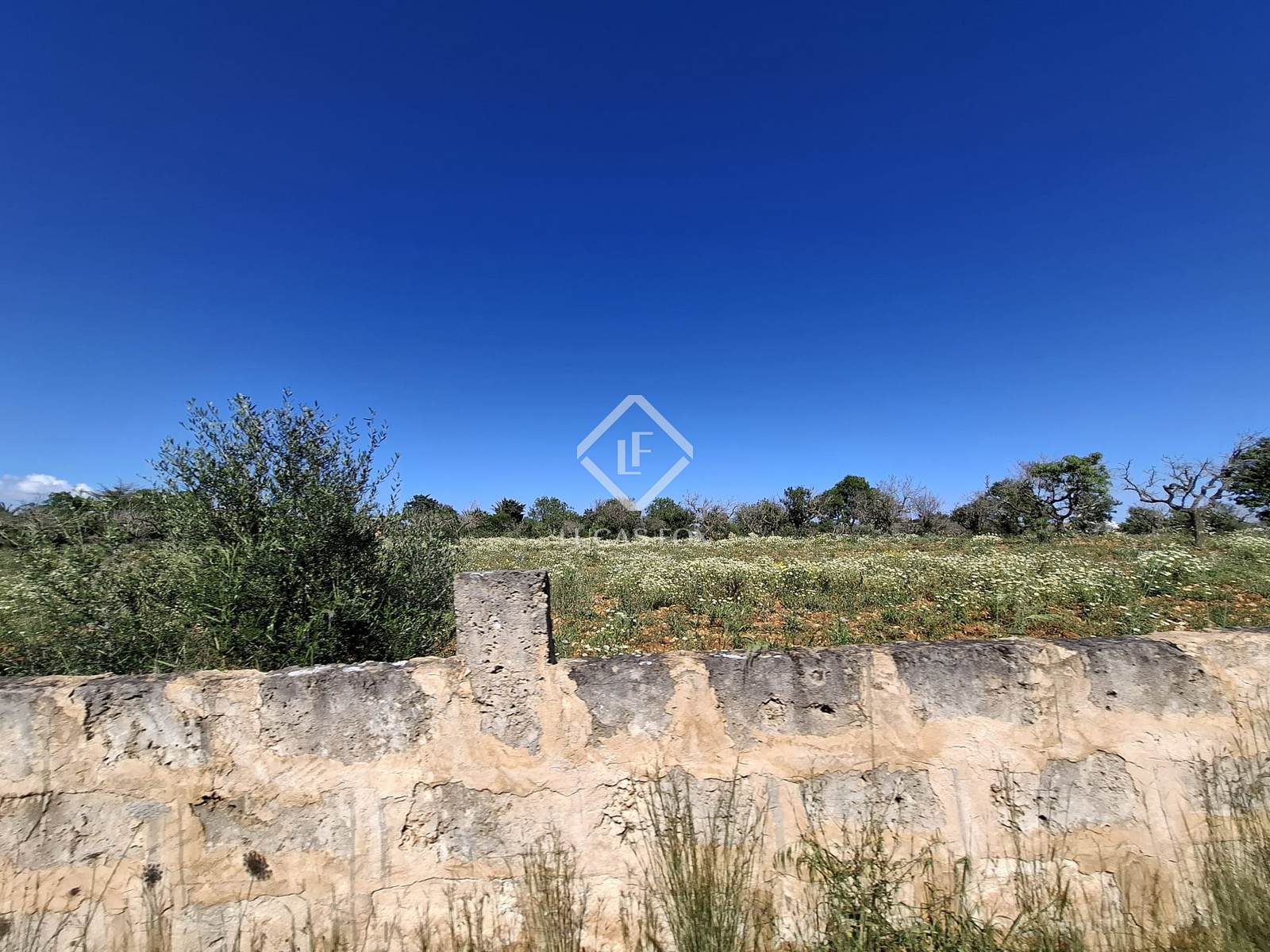 Plot for sale