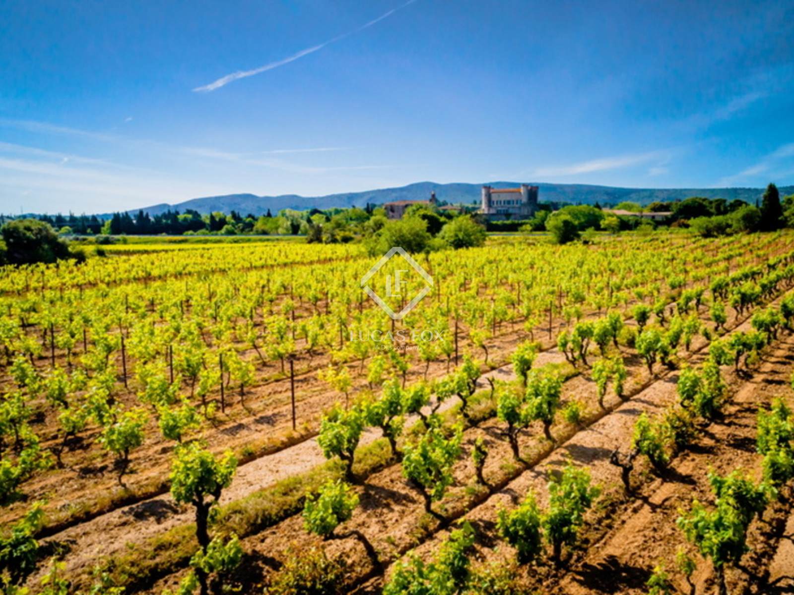 Wine cellar 1,700m² на продажу в South France, Франция