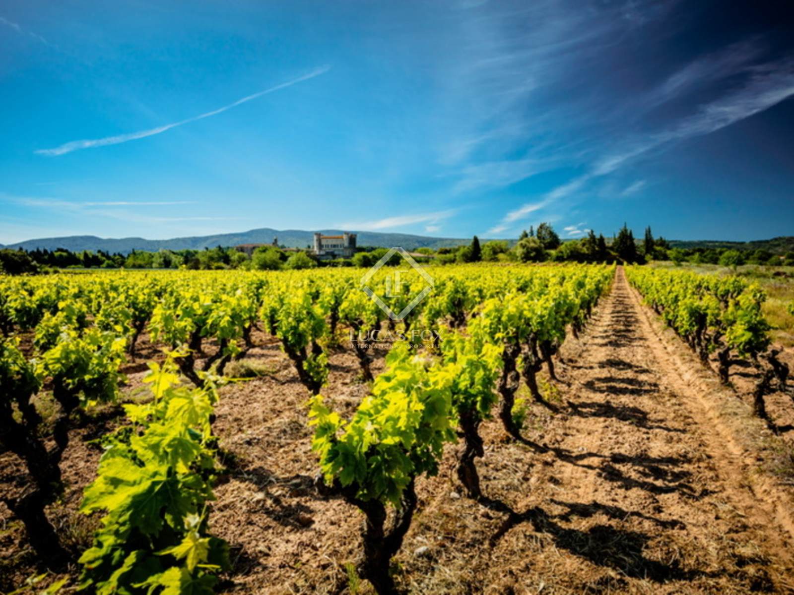 Wine cellar 1,700m² на продажу в South France, Франция