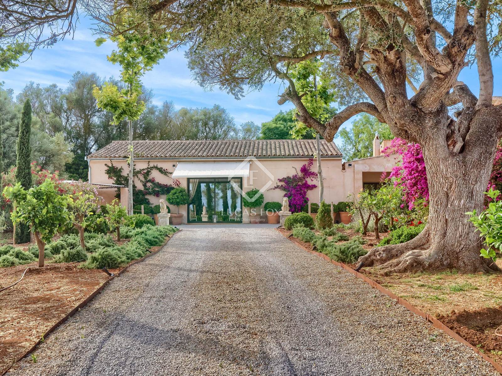 14 Bedrooms Country house in Cami de cabo blanco