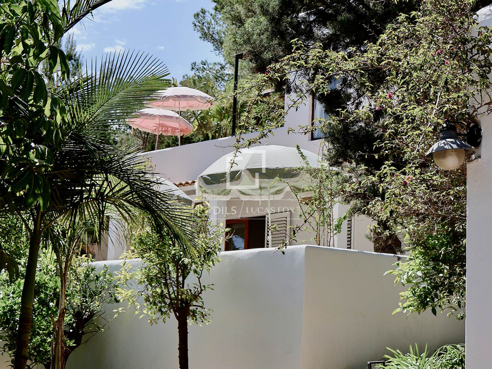 House / Villa for rent