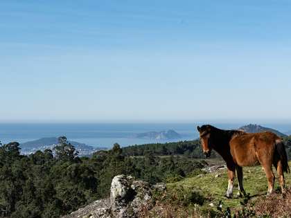 216m² haus / villa zum Verkauf in Vigo, Galicia