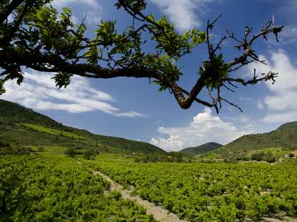 Winery for sale in Ribera del Duero, Spain