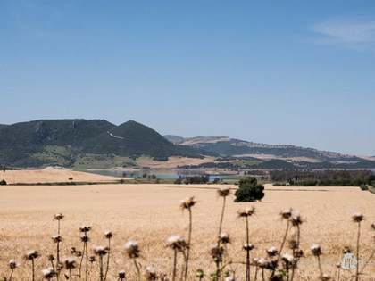 Finca rural i esportiva de 1,500,000m² en venda a Cadis / Jerez