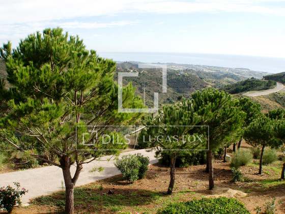 Immagine della proprietà : 3