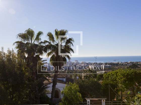 Image of the property : 4