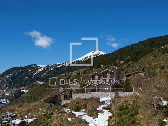 Imagem da propriedade : 4