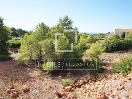 Imagem da propriedade : 3