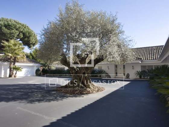 Imagem da propriedade : 3