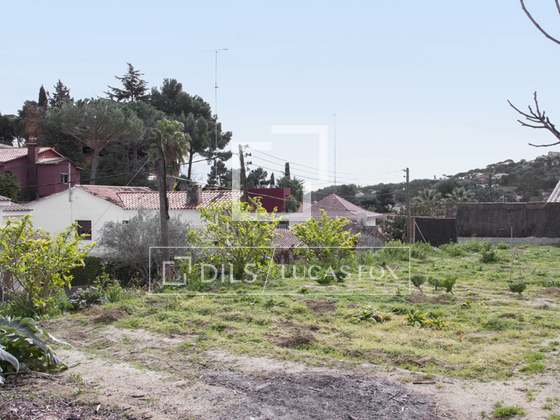 Imagem da propriedade : 4