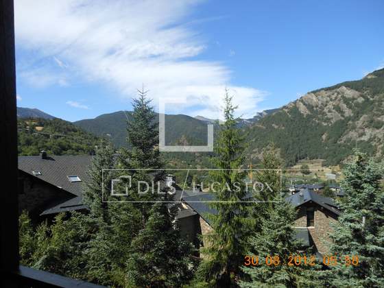 Imagem da propriedade : 4