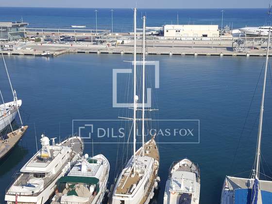 Imagem da propriedade : 4