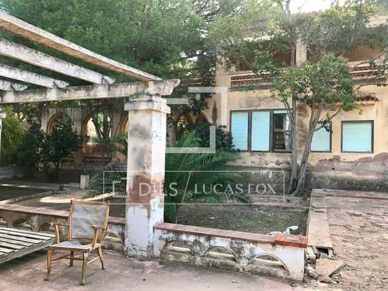 Imagem da propriedade : 4