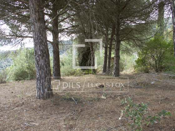 Imagem da propriedade : 4