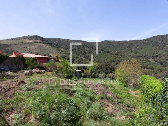 Imagem da propriedade : 3