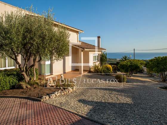 Imagem da propriedade : 3