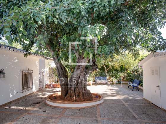 Imatge de la propietat : 3